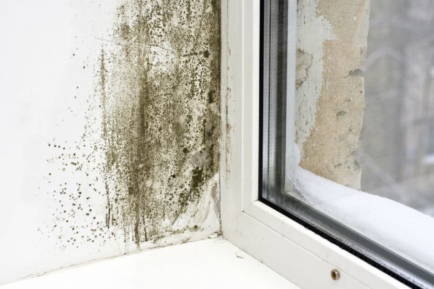 Mildew Removal